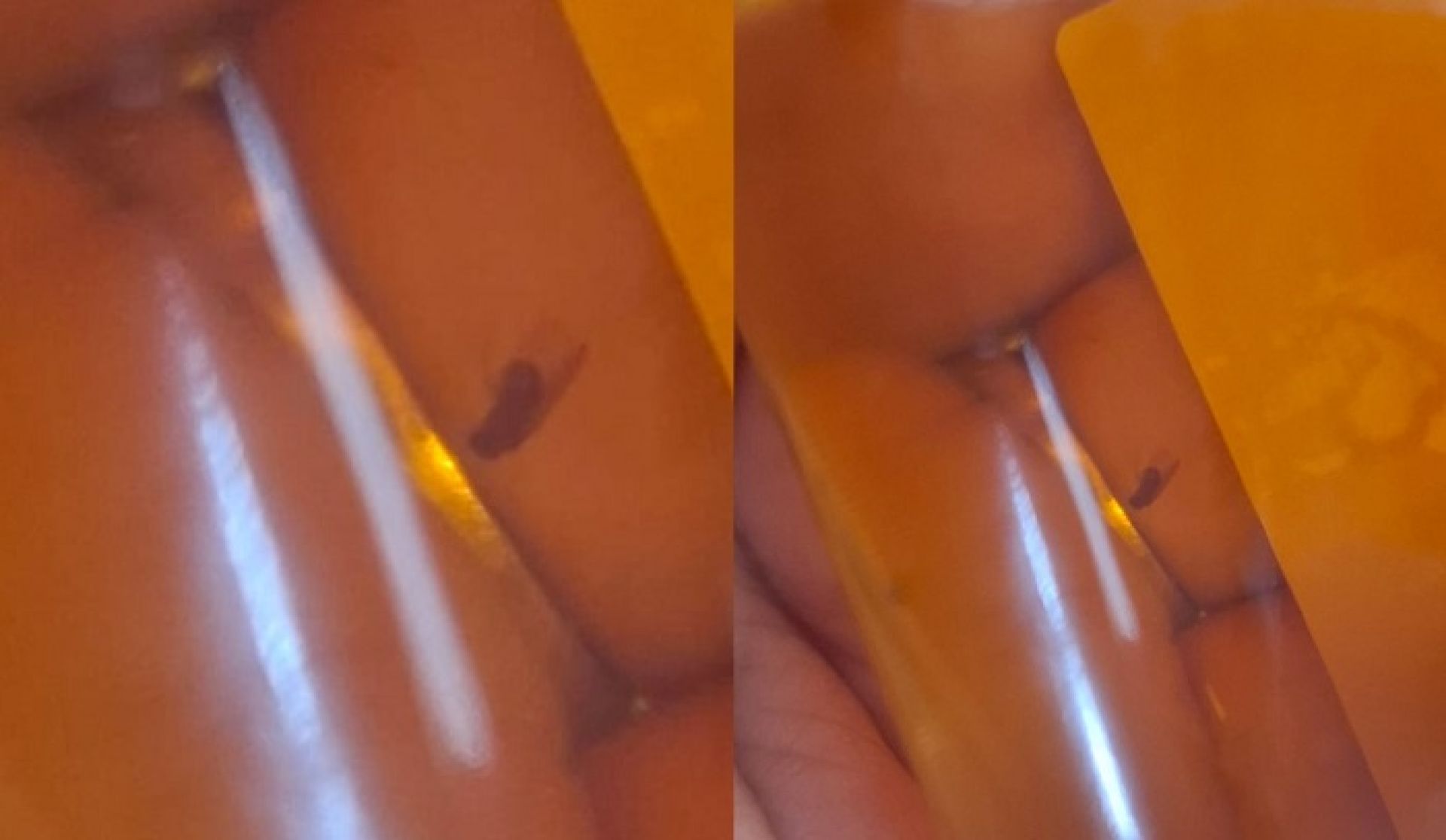 अखाद्य वस्तु भेटिएपछि ‘मुस्ताङ गोल्ड’ मदिरा उत्पादकमाथि कारबाही, दुई लाख जरिवाना